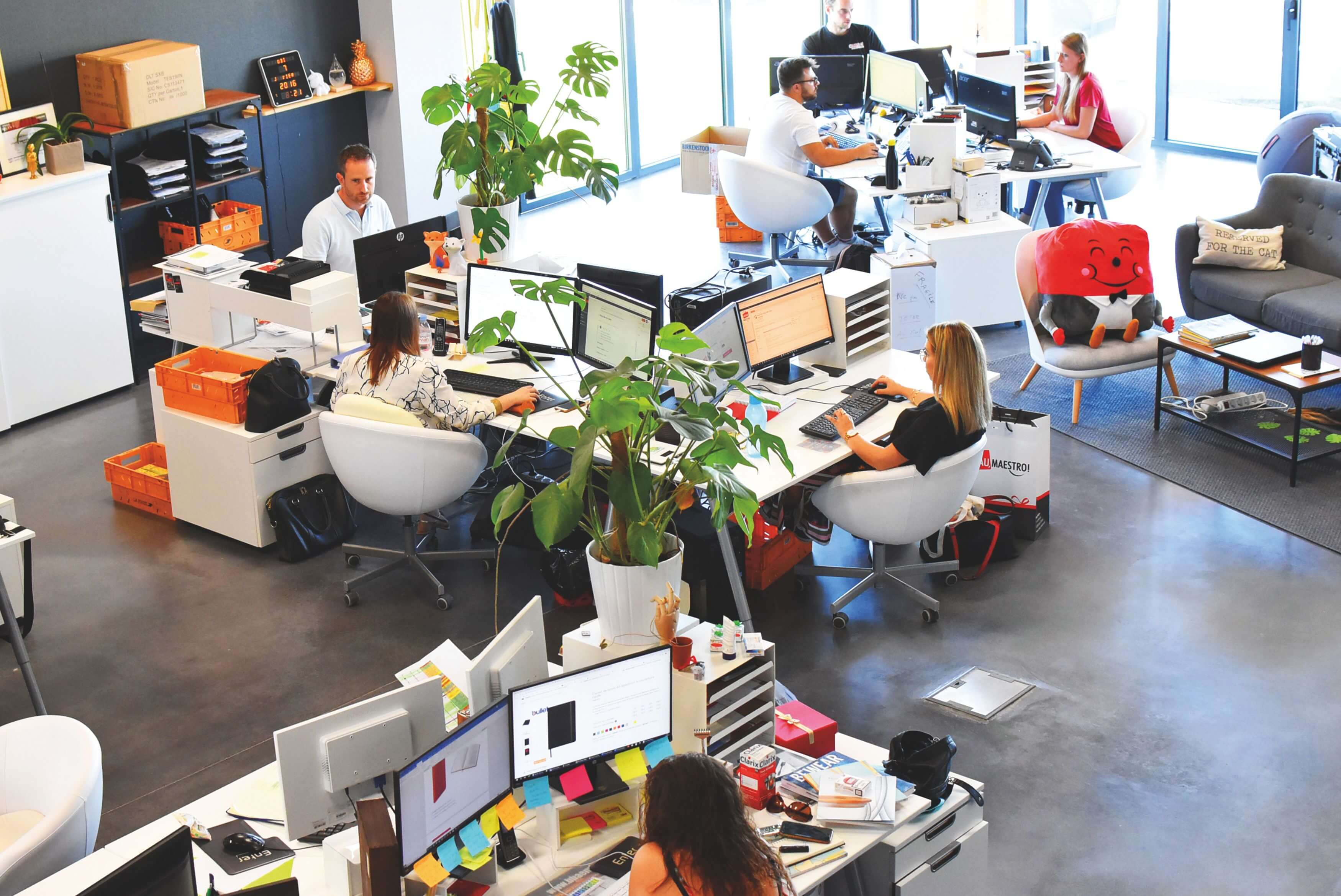 A busy open-plan creative agency office with team members working at desks among plants